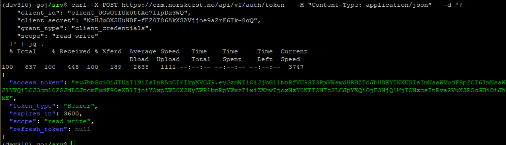 screenshot-aut-token-curl